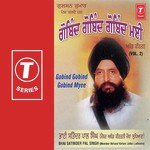 Gobind Gobind Gobind Myee (Vol. 2) - Bhai Satinder Pal Singh Ji-Akhand Kirtani Jatha Song Download